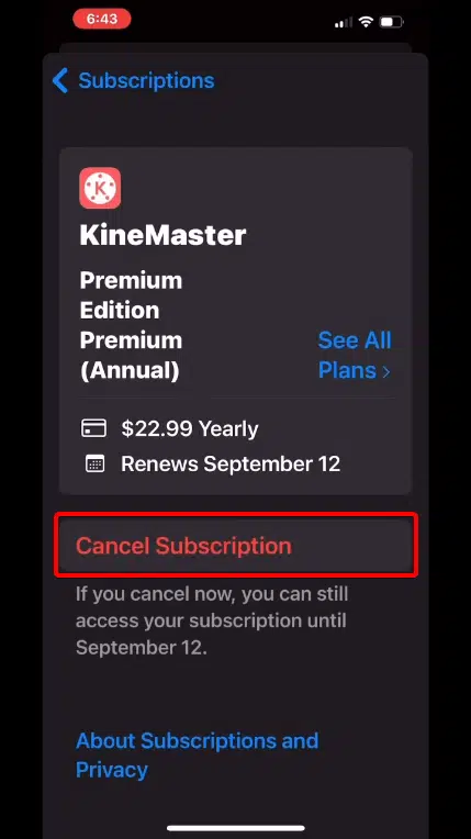 How to cancel any subscription through the App store on an iPhone or iPad