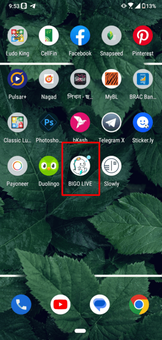 How to Delete BIGO Account? Exclusive Guide 1 How to delete Bigo account via the app