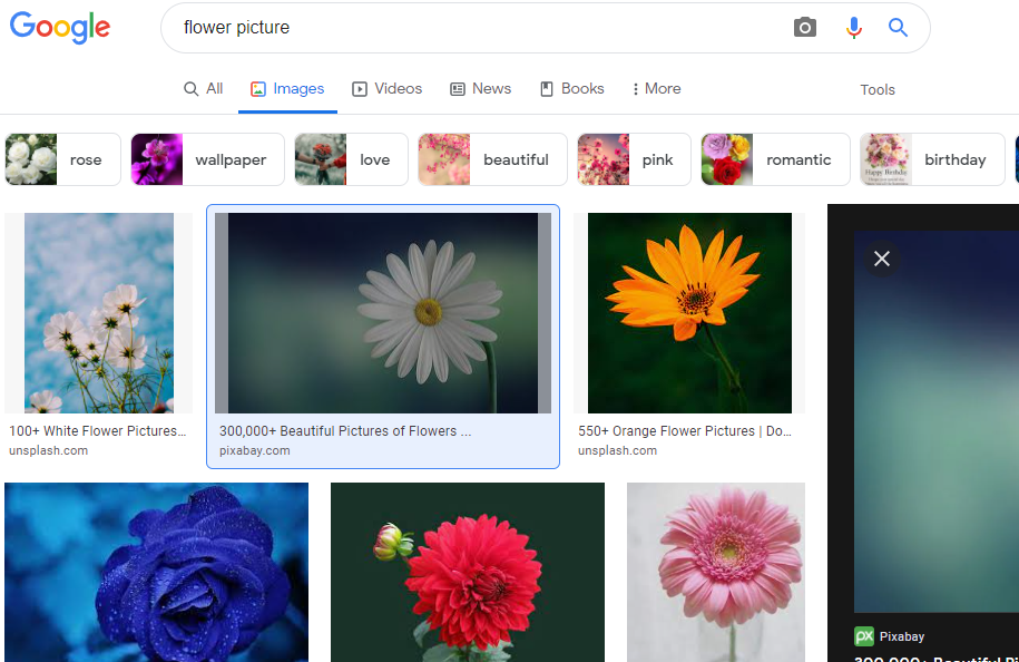 How to use Google Lens For PC Windows 11/10/8/7 PC and macOS 5 Use Google Lens on PC 1