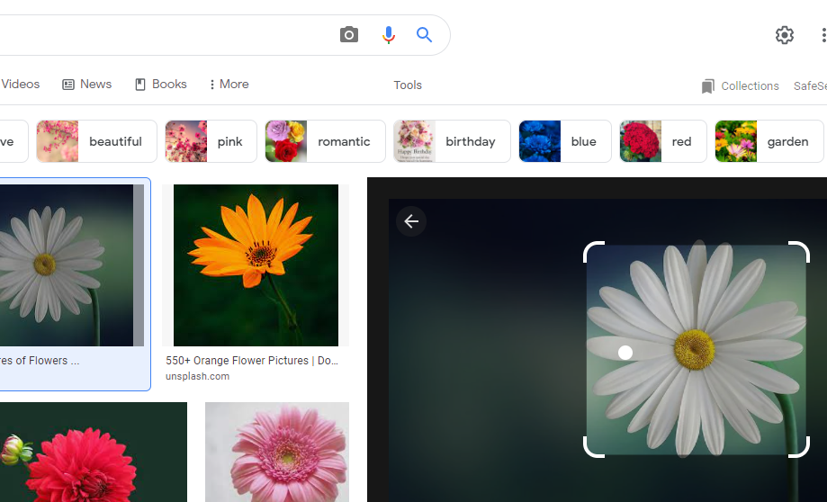 How to use Google Lens For PC Windows 11/10/8/7 PC and macOS 7 Use Google Lens on PC 2