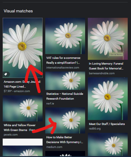 How to use Google Lens For PC Windows 11/10/8/7 PC and macOS 9 Use Google Lens on PC 5