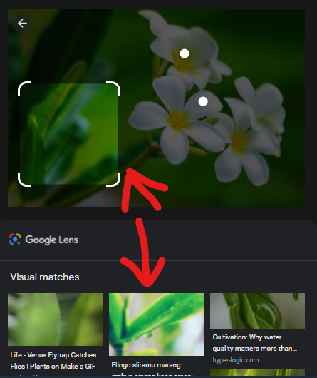 How to use Google Lens For PC Windows 11/10/8/7 PC and macOS 10 Use Google Lens on PC 6