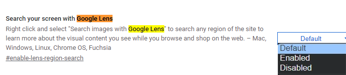 How to use Google Lens For PC Windows 11/10/8/7 PC and macOS 3 activate Google Lens on Chrome 5